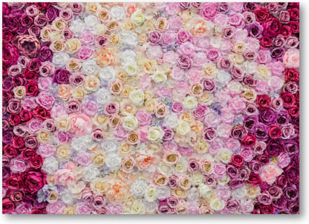 Rozenmix - 70x50 Canvas Liggend - Bloemen