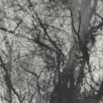 Grouper - Way Their Crept (LP)