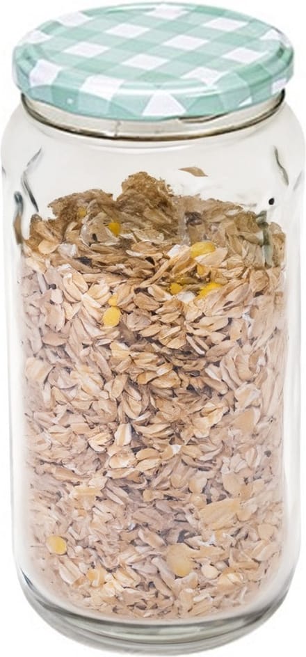 Hega Hogar Weckpot/voorraadpot Classico - 950 ml - kunststof - draaideksel - groen - D8 x H17 cm