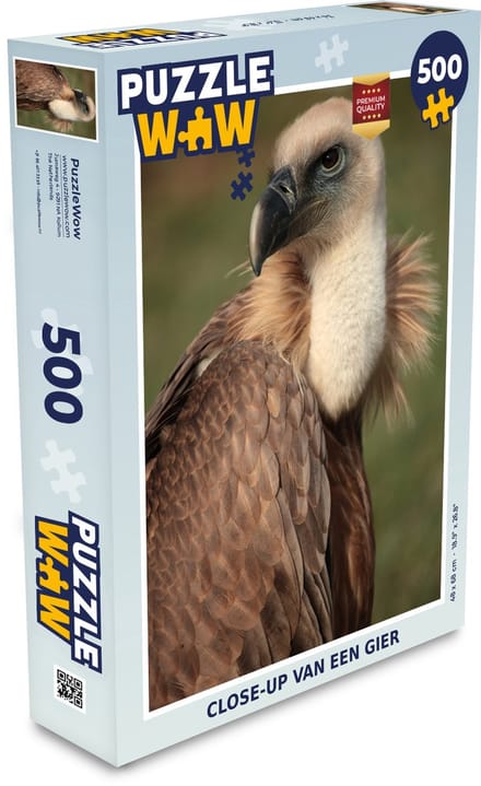 Puzzel Close-up van een gier - Legpuzzel - Puzzel 500 stukjes