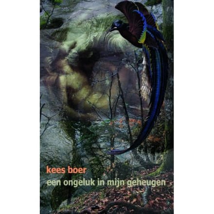 Een Ongeluk In Mijn Geheugen - Kees Boer