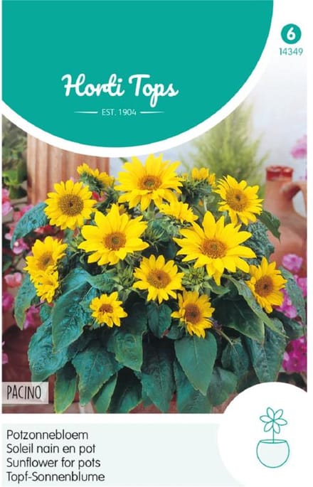 Hortitops Zaden - Helianthus Annuus Pacino, Lage Potzonnebloem