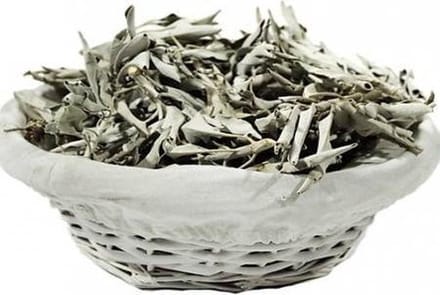 Wierook Witte Salie (Salvia Apiana) (500 gram)