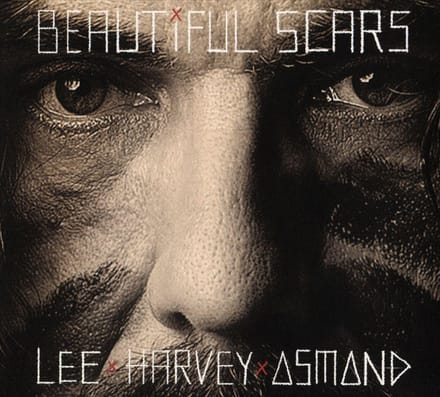 Beautiful Scars - Lee Harvey Osmond