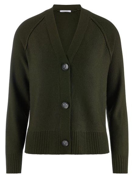 Vest Van Peter Hahn groen