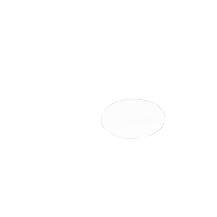 AEG plat afvoerfilter, 8090958045