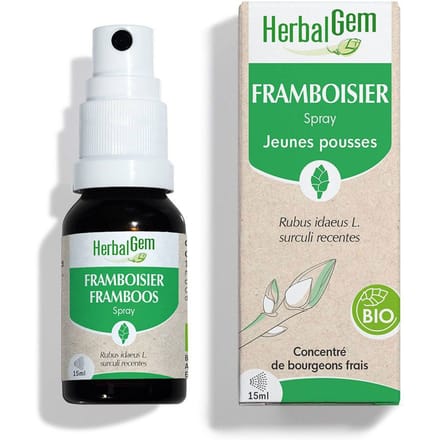 Herbalgem - Frambozenknop - Spray - 15 ml