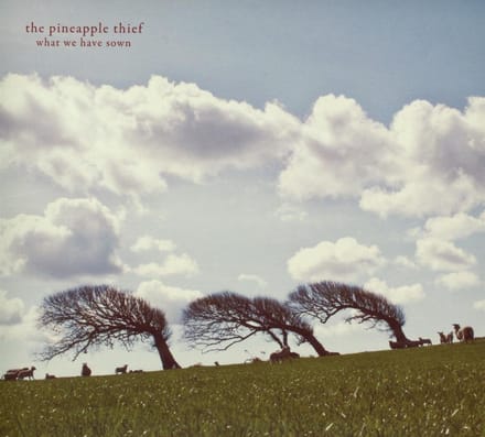 What We Have Sown - Pineapple Thief