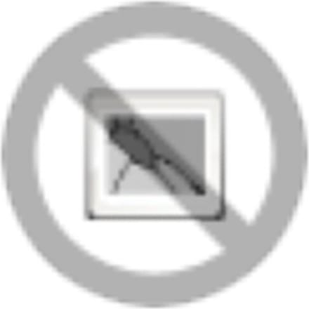 Phoenix Contact ST-REL2-KG 24/1 Steekrelais 24 V/DC, 24 V/AC 6 A 1x NO 10 stuk(s)