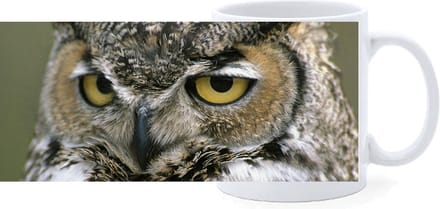 Beker - Close up - Oehoe - Uil