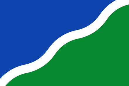 Vlag Lasne 200x300cm