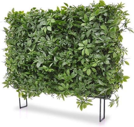 Schefflera kunstheg 80x25x56cm - UV bestendig