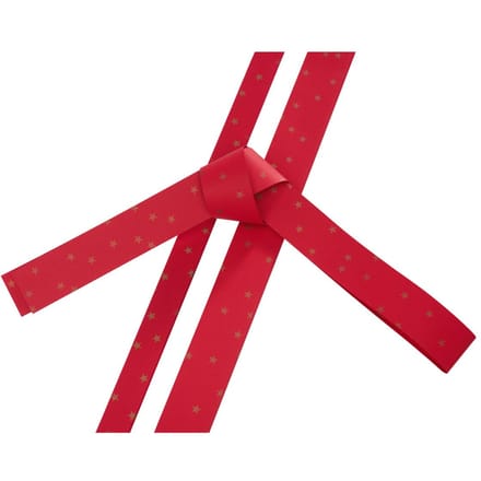 Papieren strips "Gouden sterren" - Rood