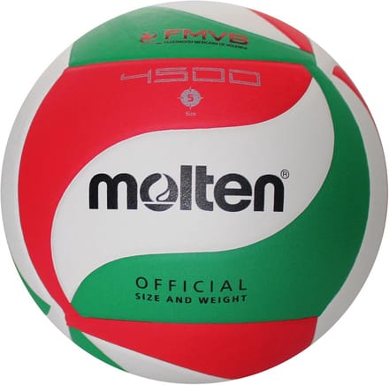 Officiële Volleybal Maat 5 - Wedstrijdbal Composiet Leer