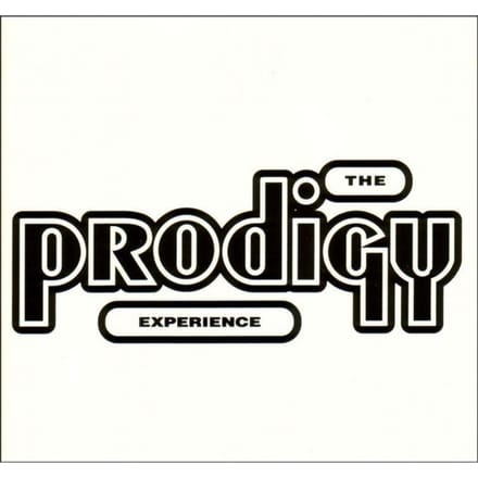 Prodigy, The CD - Experience (New Edition) - voor Geen - standaard