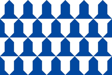 Vlag Awans 150x225cm