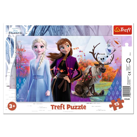 Frozen framepuzzel
