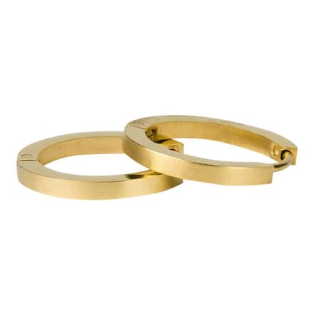 Kalli Oorringen Edelstaal Mat Goud 1857 (18mm)