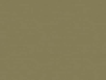Zambaiti Vinylbehang Z54514 - Fuksas - Uni Groen - 70cm x 10.05m