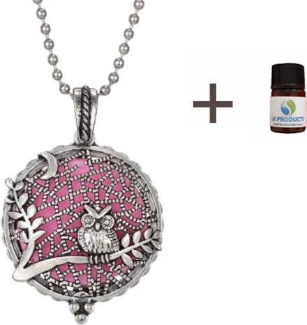 Uil Geurketting - Geurverspreider - Etherische Olie - Parfum - Zilverkleur