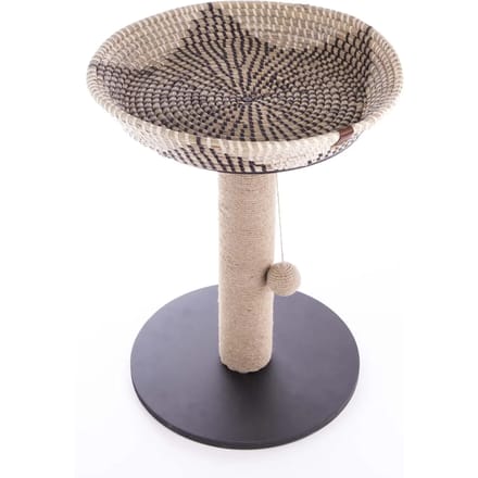 Kattenboom Martin Sellier Corbeille Etoile