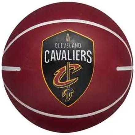 Wilson NBA Team Dribbler Stuiterbal - basketbal - bruin