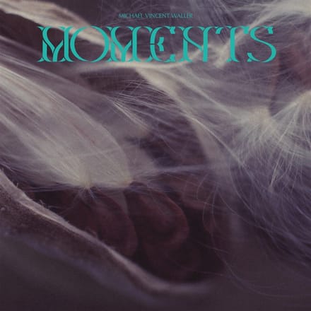 Michael Vincent Waller - Moments (CD)