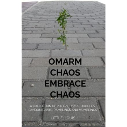 Omarm Chaos - Embrace Chaos - Little Louis