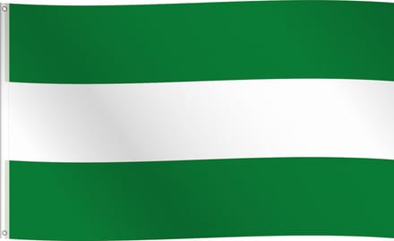 Vlag Rotterdam 90 x 150cm polyester