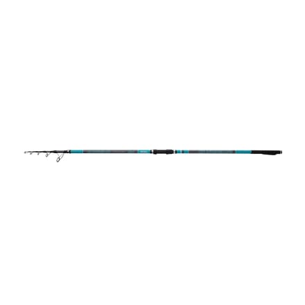 Telescopische paal Mitchell Suprema SW 30-100 g