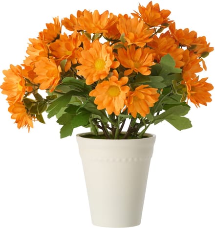 J-Line madeliefje - kunststof - oranje