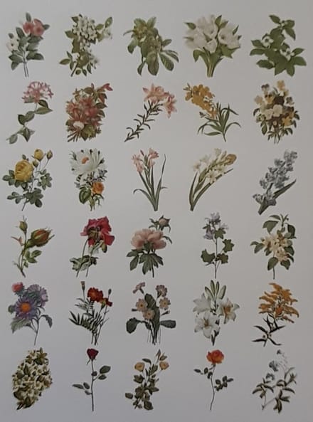 Go Go Gadget - Washi stickers - Bullet journal - Junk journal - Scrapbook - 1 set van 60 stuks - Bloemen - Multi kleur