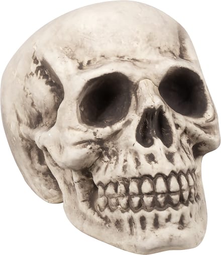 Boland - Schedel Bighead (M) - Horror - Horror