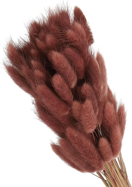 Gedroogde Bloemen - Pampasgras Decor - Boho Woondecoratie - Natuurlijk Groot Volume - 40 cm Lengte - Bruin