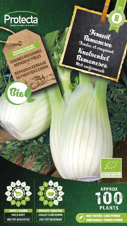 Protecta Groente zaden: Knolvenkel Romanesco Biologisch