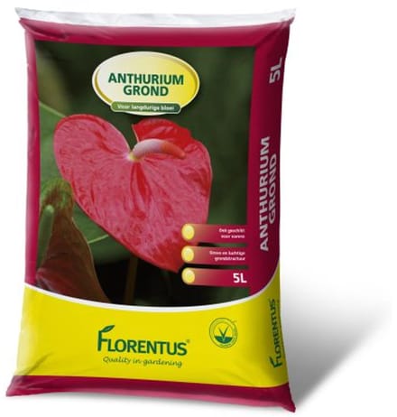 Florentus - Anthurium potgrond 5 liter