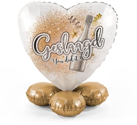 Geslaagd - yes you did it - Ballonnen set met standaard - Everloon