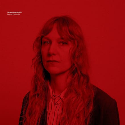 Hedvig Mollestad - Bees In The Bonnet (LP)