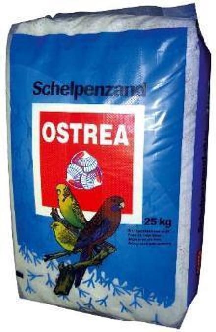 Ostrea Vogelzand