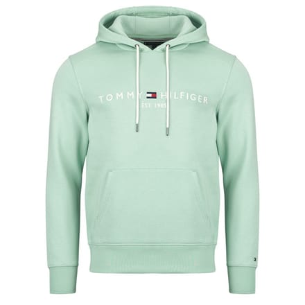 Capuchon sweaters Tommy Hilfiger TOMMY LOGO HOODY