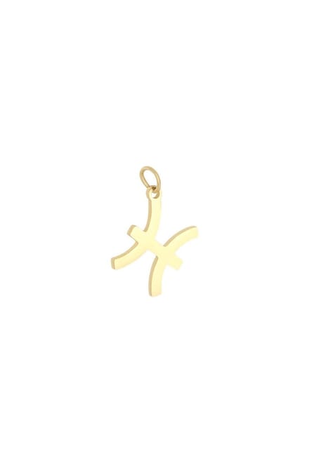 Hanger - sterrenbeeld - stainless steel - kado - kerst