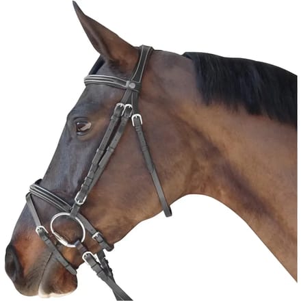 Gecombineerd hoofdstel met stiksels Canter