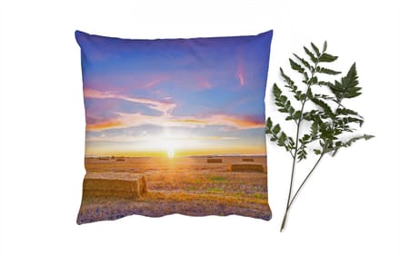 Sierkussens - Kussentjes Woonkamer - 60x60 cm - Stro - Zon - Lucht - Landschap