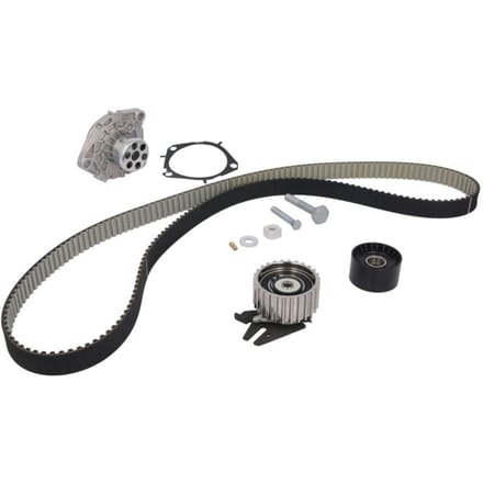 Schaeffler Ina Waterpomp+distributieriem set INA 530 0561 30