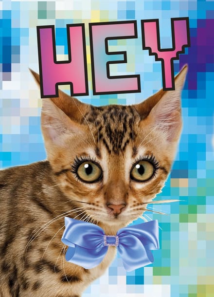 Kunstboer Kaart “hey” 10st - kat poes