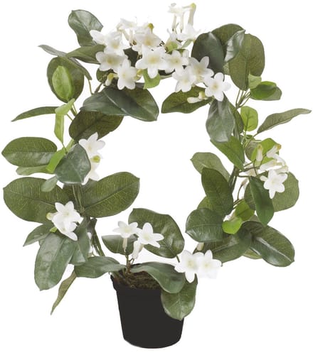 Emerald - Kunstplant in pot Stephanotis Ring wit 40cm - Kunstplant voor binnen