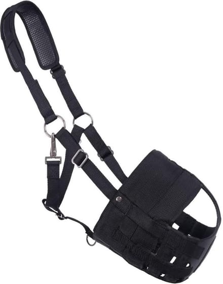 Snuit-neusgaten paardrijden - QHP dog muzzle