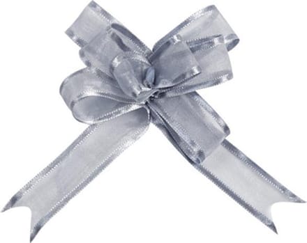 SANTEX - 5 mini zilverkleurige strikjes organdi