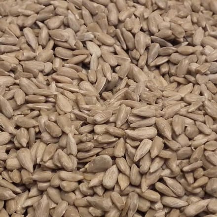 Vogro Zonnebloempitten gepeld 10KG