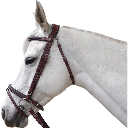 Hoofdstellen voor paarden Flags&Cup Aachen